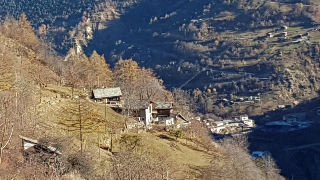 הוילה Törbel Chalet La Paz With Hotpot And Sauna מראה חיצוני תמונה