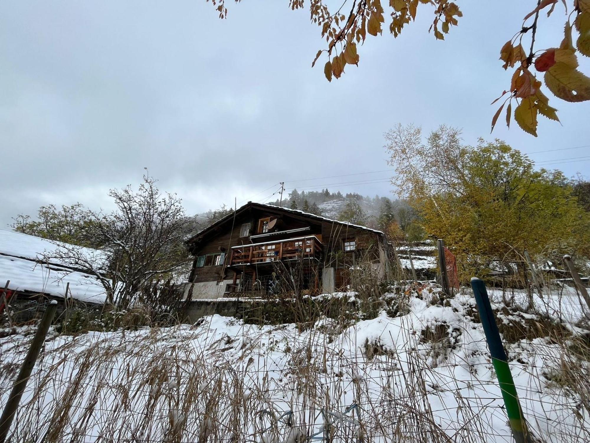 הוילה Törbel Chalet La Paz With Hotpot And Sauna מראה חיצוני תמונה