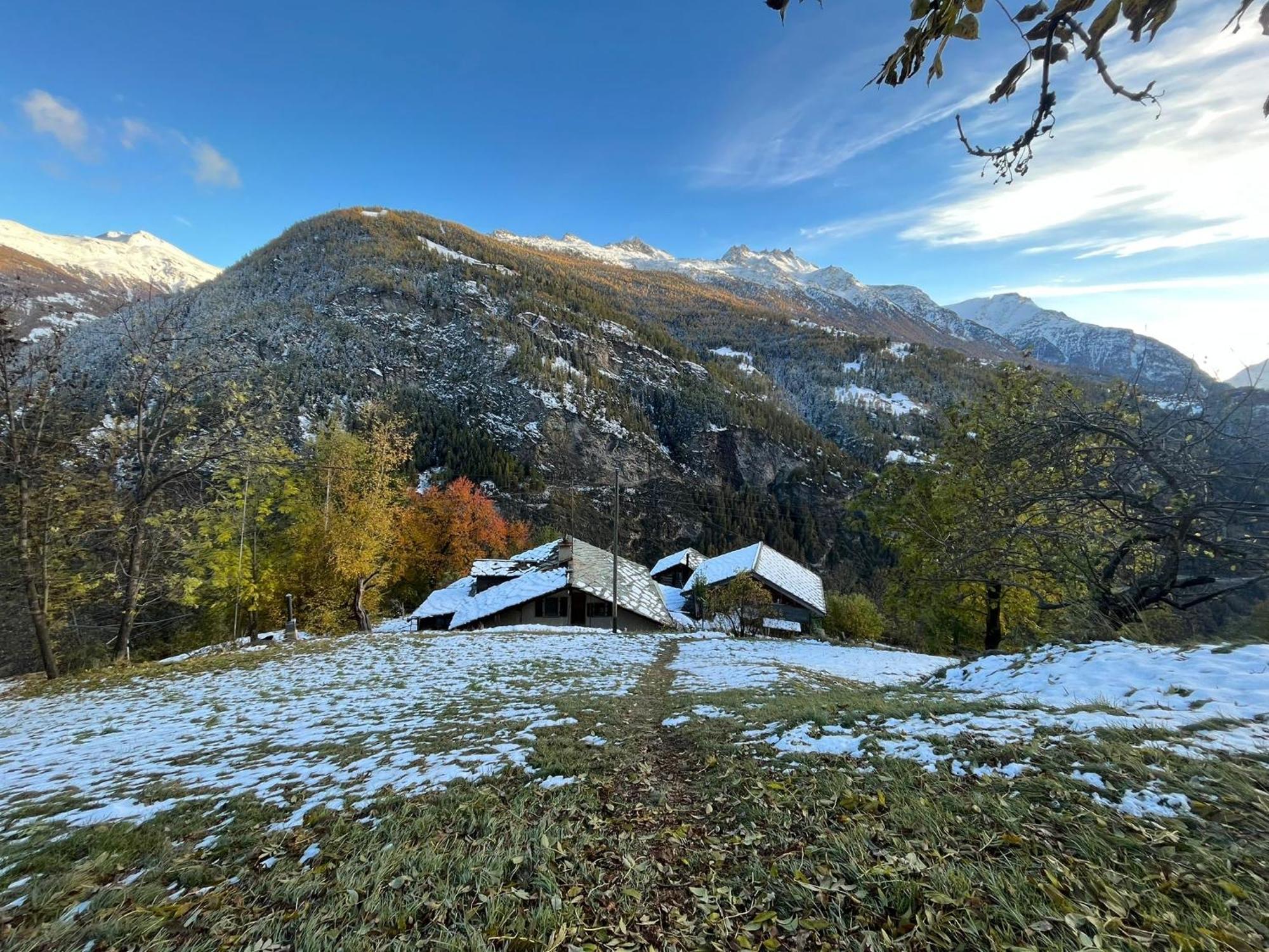 הוילה Törbel Chalet La Paz With Hotpot And Sauna מראה חיצוני תמונה